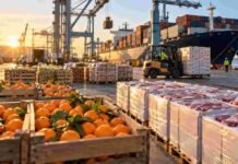 Agroexportaciones a Europa: alcanzaron US$1.922 millones en los primeros cuatro meses del acuerdo Cítricos, carne y otros productos agroindustriales listos para exportación en un puerto, en una imagen que representa el crecimiento de las ventas argentinas a la Unión Europea.