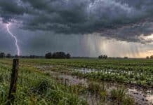 Alerta por tormentas este viernes 30: el SMN prevé de 20 a 50 mm y posible granizo Tormenta fuerte con relámpagos, lluvias intensas y cortinas de precipitación sobre un campo agrícola argentino, ante la alerta del SMN del 30 de octubre de 2026.