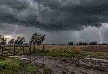 Miércoles 14: tormentas en Córdoba, San Luis y Misiones y ráfagas de más de 100 km/h en Jujuy y Salta Tormenta fuerte sobre un campo rural argentino, con tranquera, árboles inclinados por el viento, charcos y dos relámpagos bajo un cielo oscuro