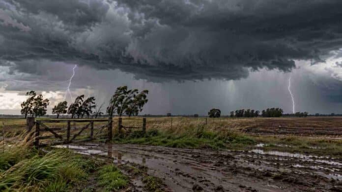 Tormenta fuerte sobre un campo rural argentino, con tranquera, árboles inclinados por el viento, charcos y dos relámpagos bajo un cielo oscuro