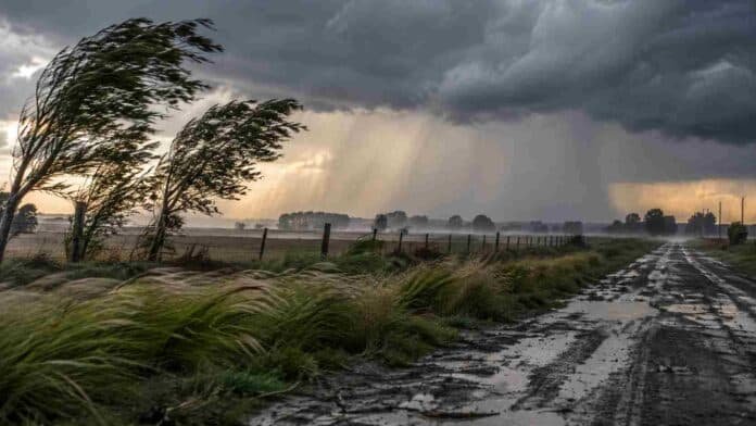 alertas-viento-tormentas-ruralnet Fuerte viento y tormentas sobre un camino rural anegado durante una jornada con alertas meteorológicas.