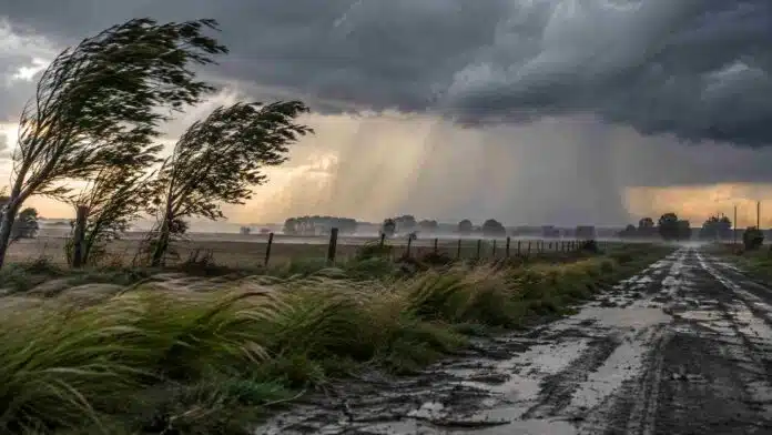 Fuerte viento y tormentas sobre un camino rural anegado durante una jornada con alertas meteorológicas.