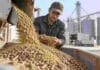 Alimento balanceado: ofrecen financiamiento a 90 días con tasa 0% y el Gobierno analiza bajar aranceles Operario revisando alimento balanceado en una planta de nutrición animal, con pellets y materias primas destinadas a la elaboración de raciones.