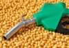 Biocombustibles: el nuevo motor que cambia el mercado de la soja y el maíz Pico de combustible sobre granos de soja, en una imagen vinculada a la producción de biodiesel a partir de materias primas agrícolas.