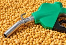 Biocombustibles: el nuevo motor que cambia el mercado de la soja y el maíz Pico de combustible sobre granos de soja, en una imagen vinculada a la producción de biodiesel a partir de materias primas agrícolas.