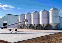 Biofilm invertirá más de US$ 7 millones para duplicar su capacidad y expandirse en América Latina Instalaciones productivas de Biofilm con silos y equipamiento industrial, en una imagen ilustrativa de la ampliación de su planta de biotecnología aplicada al agro.