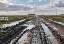 Buenos Aires habilitó usar fondos de caminos rurales en obras hídricas y CARBAP cuestionó la medida Camino rural con barro y acumulación de agua en la provincia de Buenos Aires, en una imagen ilustrativa del deterioro de la red vial tras las lluvias.