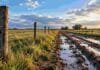 Caminos rurales: rechazan desviar fondos y exigen rendición de cuentas municipio por municipio Camino rural con barro, huellas profundas y acumulación de agua en una zona productiva de la provincia de Buenos Aires.