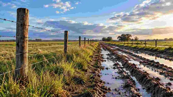 caminos-rurales-barro-inundaciones-buenos-aires-ruralnet Camino rural con barro, huellas profundas y acumulación de agua en una zona productiva de la provincia de Buenos Aires.
