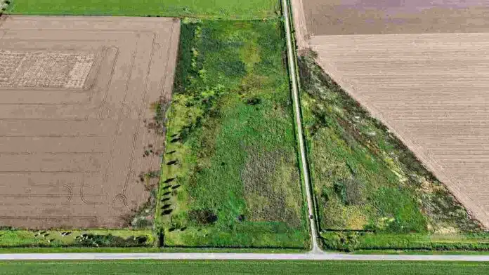 Vista aérea de campos agrícolas y ganaderos divididos por caminos rurales, en una imagen ilustrativa del valor de la tierra y la inversión agropecuaria.