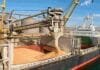 El agro argentino comercializó un récord de 105 millones de toneladas Buque granelero recibiendo una carga de granos en una terminal portuaria, durante una operación de exportación.