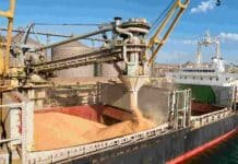 El agro argentino comercializó un récord de 105 millones de toneladas Buque granelero recibiendo una carga de granos en una terminal portuaria, durante una operación de exportación.
