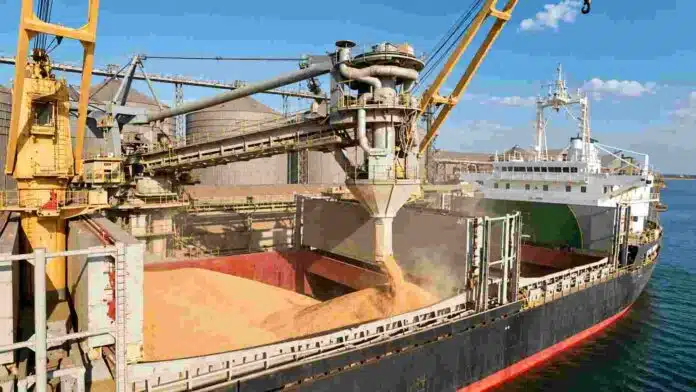 Buque granelero recibiendo una carga de granos en una terminal portuaria, durante una operación de exportación.