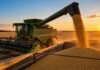 Gasoil e insumos más caros: Trump lanzó una ayuda de US$ 8.000 millones para productores Cosechadora descargando granos durante la cosecha en Estados Unidos, en una imagen ilustrativa de la ayuda anunciada para compensar costos de gasoil e insumos.