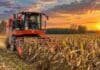 Francia: la cosecha de maíz caería casi 49% y sería la peor desde 1976 Cosechadora de maíz trabajando en un lote agrícola al atardecer, con cielo anaranjado, plantas maduras y polvo levantado durante la recolección.