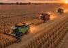 Mejoran los números del agro: seis planteos agrícolas tendrían rentabilidad positiva Tres cosechadoras Fendt, Massey Ferguson y Challenger cosechan maíz en tándem, avanzando por surcos paralelos al atardecer, vistas desde un dron.
