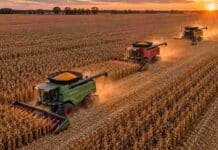 Mejoran los números del agro: seis planteos agrícolas tendrían rentabilidad positiva Tres cosechadoras Fendt, Massey Ferguson y Challenger cosechan maíz en tándem, avanzando por surcos paralelos al atardecer, vistas desde un dron.