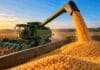 Brasil va por un récord de maíz: más producción, fuerte demanda de etanol y competencia con Argentina Cosechadora descargando maíz durante la cosecha en Brasil, en una imagen ilustrativa de la producción récord proyectada para 2026/27.