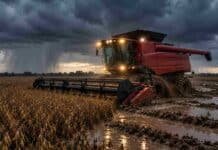 El Niño: advierten por más lluvias desde noviembre y señalan las regiones más expuestas Cosechadora roja con las luces encendidas, encajada en el barro durante la cosecha de soja en un campo anegado, bajo un cielo de tormenta por lluvias intensas.