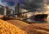 Fertilizantes, diésel y El Niño: S&P Global advierte por un mayor riesgo alimentario mundial en 2027 Maíz, soja y trigo en una terminal portuaria de granos bajo un cielo de tormenta, en una imagen ilustrativa del riesgo de tensión en la oferta alimentaria mundial.