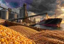 Fertilizantes, diésel y El Niño: S&P Global advierte por un mayor riesgo alimentario mundial en 2027 Maíz, soja y trigo en una terminal portuaria de granos bajo un cielo de tormenta, en una imagen ilustrativa del riesgo de tensión en la oferta alimentaria mundial.