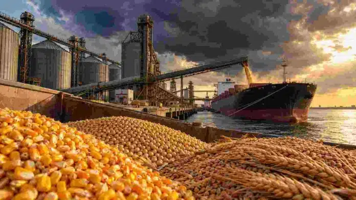 crisis-alimentaria-mundial-granos-exportaciones-ruralnet-compressed Maíz, soja y trigo en una terminal portuaria de granos bajo un cielo de tormenta, en una imagen ilustrativa del riesgo de tensión en la oferta alimentaria mundial.