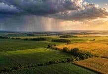 El Niño ya está activo: qué puede pasar con las lluvias y cómo impactaría en el campo argentino Lluvias intensas sobre una parte de una región agrícola argentina mientras otros lotes permanecen bajo cielo despejado, en una imagen ilustrativa del impacto de El Niño.