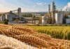 Brasil avanza con etanol de arroz y trigo: una salida para excedentes y granos de baja calidad Arroz y trigo frente a una planta de bioetanol en Brasil, como nuevas materias primas para la producción de biocombustibles.