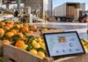 SENASA renueva el sistema para exportar cítricos: suma autogestión e inteligencia artificial Cítricos preparados para exportación en una planta de empaque, con una tablet que representa la trazabilidad digital y la gestión del nuevo sistema del SENASA.