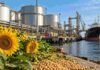 India impulsa las exportaciones argentinas de aceites a un récord histórico Terminal portuaria con instalaciones para carga de aceites vegetales, girasol y soja, en una imagen que representa el récord de exportaciones argentinas de 2026.