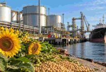 India impulsa las exportaciones argentinas de aceites a un récord histórico Terminal portuaria con instalaciones para carga de aceites vegetales, girasol y soja, en una imagen que representa el récord de exportaciones argentinas de 2026.