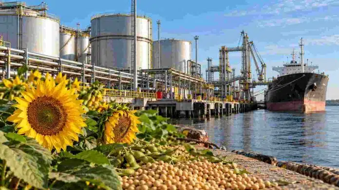 Terminal portuaria con instalaciones para carga de aceites vegetales, girasol y soja, en una imagen que representa el récord de exportaciones argentinas de 2026.