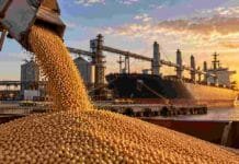 Exportaciones agroindustriales: Argentina acumuló USD 42.304 millones en 2026 Carga de granos en una terminal portuaria con un buque granelero, en una imagen ilustrativa de las exportaciones agroindustriales argentinas.