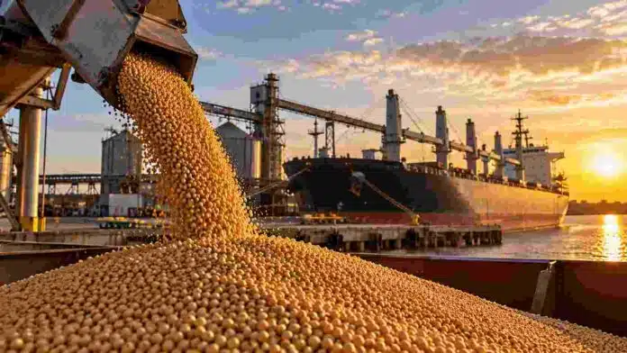 Carga de granos en una terminal portuaria con un buque granelero, en una imagen ilustrativa de las exportaciones agroindustriales argentinas.
