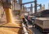 Exportaciones agroindustriales: Argentina bate récord con 88,9 millones de toneladas Operación de carga de granos en un puerto agroindustrial argentino, con camiones en fila, un operario supervisando la carga y un buque granelero listo para exportación.