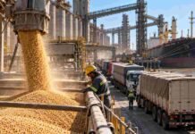 Exportaciones agroindustriales: Argentina bate récord con 88,9 millones de toneladas Operación de carga de granos en un puerto agroindustrial argentino, con camiones en fila, un operario supervisando la carga y un buque granelero listo para exportación.