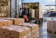 China acelera las exportaciones de pollo con precios hasta US$1.000 por tonelada más bajos Carne aviar preparada para exportación en una planta industrial, con carga de mercadería hacia contenedores y un buque portacontenedores al fondo.