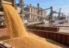 Trigo argentino: septiembre marcó un récord de exportaciones Carga de trigo en un buque cerealero en un puerto argentino, en una imagen que ilustra el récord de exportaciones de trigo alcanzado en septiembre.
