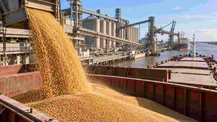 exportaciones-trigo-record-septiembre-ruralnet Carga de trigo en un buque cerealero en un puerto argentino, en una imagen que ilustra el récord de exportaciones de trigo alcanzado en septiembre.