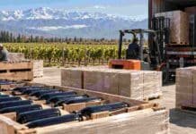 Exportaciones de vino crecieron 24% en septiembre y los blancos a granel saltaron 329% Cajas de vino argentino preparadas para exportación junto a un viñedo, con carga logística en una zona vitivinícola de montaña.
