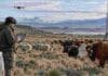 Ganadería de precisión: una app del INTA registra mortandad sin señal y permitirá crear mapas de riesgo Ganadería de precisión en la Patagonia, con monitoreo digital de bovinos y ovinos mediante drones, sensores y dispositivos de campo.