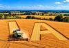 IA en el agro: seis claves para usarla en la gestión sin delegar las decisiones Cosechadora trabajando en un lote agrícola con las letras IA trazadas sobre el cultivo, en una imagen que representa el uso de inteligencia artificial en la gestión agropecuaria.