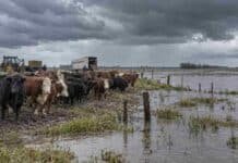 El Niño e inundaciones: arman una red de ayuda y piden alivio fiscal por la venta de hacienda