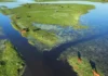 El Niño e inundaciones: ya trasladaron 147.500 animales y los movimientos crecieron 102% Vista aérea de bovinos sobre sectores elevados de un campo inundado en Corrientes, con amplias superficies cubiertas de agua.