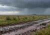 Ocho provincias bajo alerta: prevén lluvias de hasta 40 mm, nevadas intensas y fuertes vientos Lluvia intensa sobre un campo abierto de La Pampa, con camino rural embarrado, charcos en primer plano y cielo de tormenta en el horizonte.
