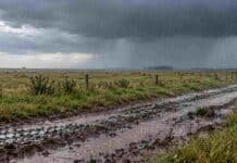Ocho provincias bajo alerta: prevén lluvias de hasta 40 mm, nevadas intensas y fuertes vientos Lluvia intensa sobre un campo abierto de La Pampa, con camino rural embarrado, charcos en primer plano y cielo de tormenta en el horizonte.