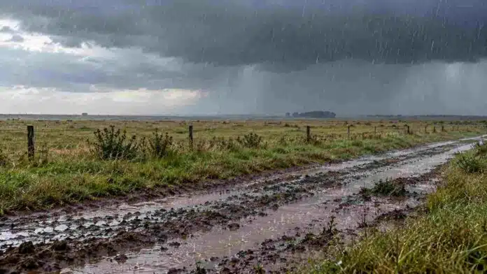 lluvias-en-campo-de-la-pampa-ruralnet Lluvia intensa sobre un campo abierto de La Pampa, con camino rural embarrado, charcos en primer plano y cielo de tormenta en el horizonte.