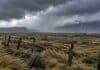 Lluvias y vientos golpean la Patagonia: ráfagas de más de 90 km/h Fuertes vientos y lluvias intensas sobre un campo de la Patagonia, con pastizales azotados por las ráfagas, ovejas y nubes de tormenta.