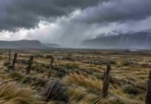 Lluvias y vientos golpean la Patagonia: ráfagas de más de 90 km/h Fuertes vientos y lluvias intensas sobre un campo de la Patagonia, con pastizales azotados por las ráfagas, ovejas y nubes de tormenta.