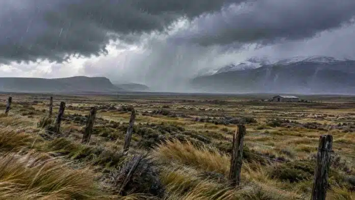 Fuertes vientos y lluvias intensas sobre un campo de la Patagonia, con pastizales azotados por las ráfagas, ovejas y nubes de tormenta.